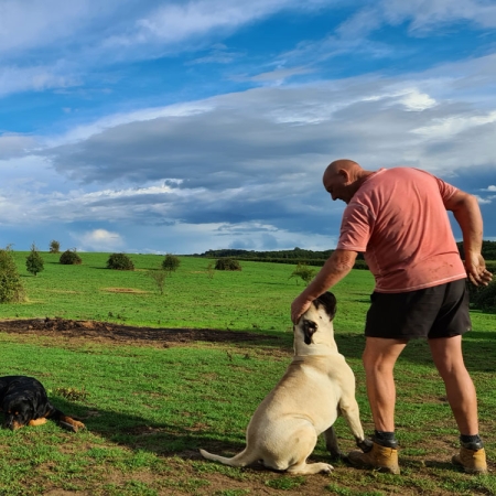 Dave and the dog