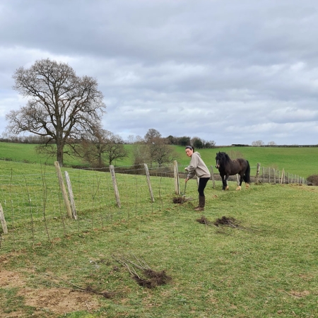 Planting trees